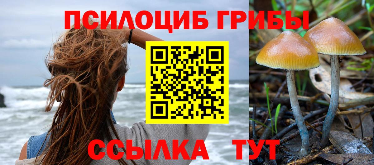 Псилоцибиновые грибы Psilocybine cubensis  Вход с VPN  Озёрск  Галлюциногенные грибы прущие грибы 
